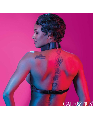 CALEXOTICS - EUPHORIA ARNÉS DE CUELLO DE CADENA