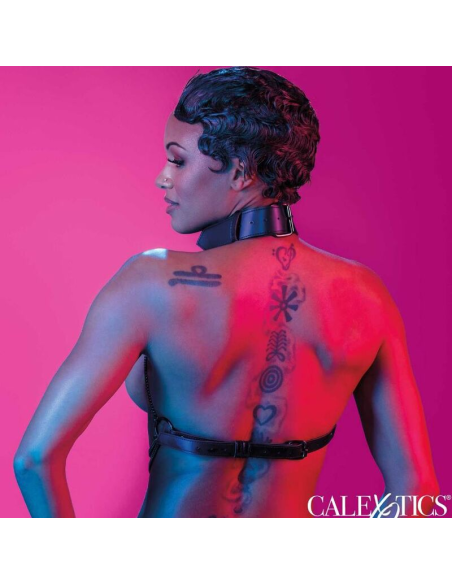 CALEXOTICS - EUPHORIA ARNÉS DE CUELLO DE CADENA