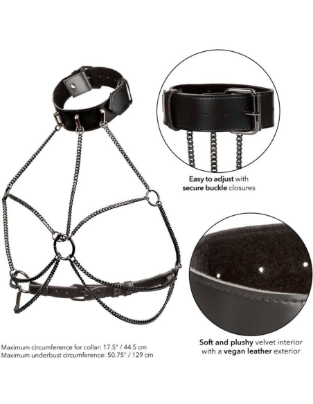 CALEXOTICS - EUPHORIA ARNÉS DE CUELLO DE CADENA TALLA GRANDE
