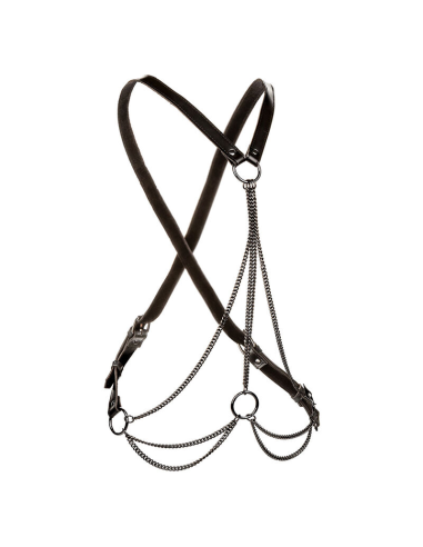 CALEXOTICS - EUPHORIA ARNÉS DE MÚLTIPLES CADENAS PREMIUM TALLA PLUS