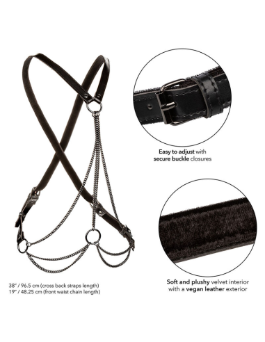 CALEXOTICS - EUPHORIA ARNÉS DE MÚLTIPLES CADENAS PREMIUM TALLA PLUS