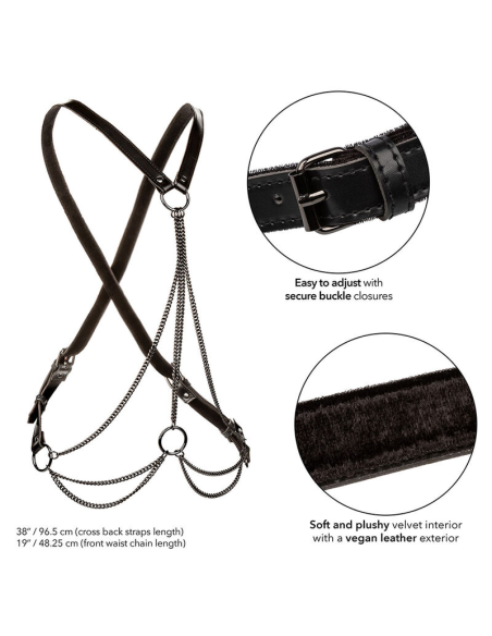 CALEXOTICS - EUPHORIA ARNÉS DE MÚLTIPLES CADENAS PREMIUM TALLA PLUS