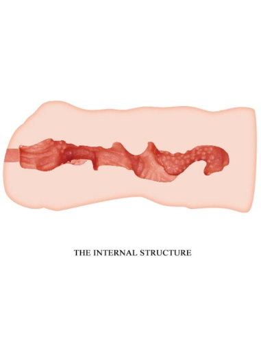 CRAZY BULL - LINDA MASTURBADOR VAGINA 13.7 CM