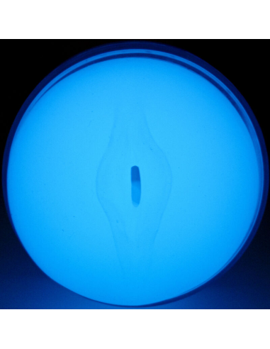 KIIROO - FEEL GLOW IN THE DARK STROKER