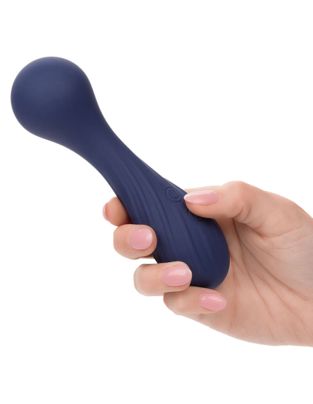 CALEXOTICS - CHARISMA TEMPTATION MASAJEADOR 12 FUNCIONES MORADO